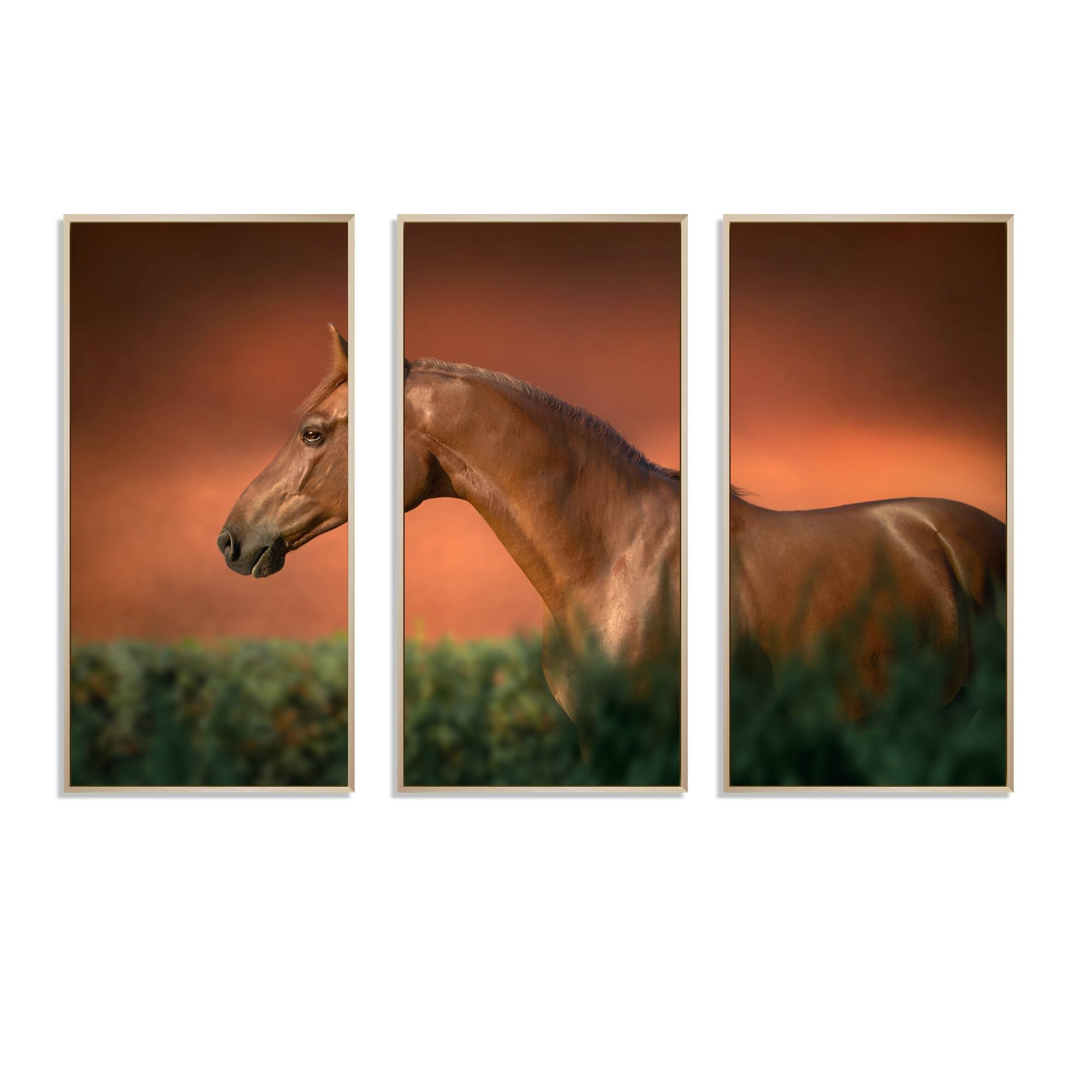 Designart "Portrait Of The Chestnut Thoroughbred Horse I" Traditional Framed Canvas Wall Art