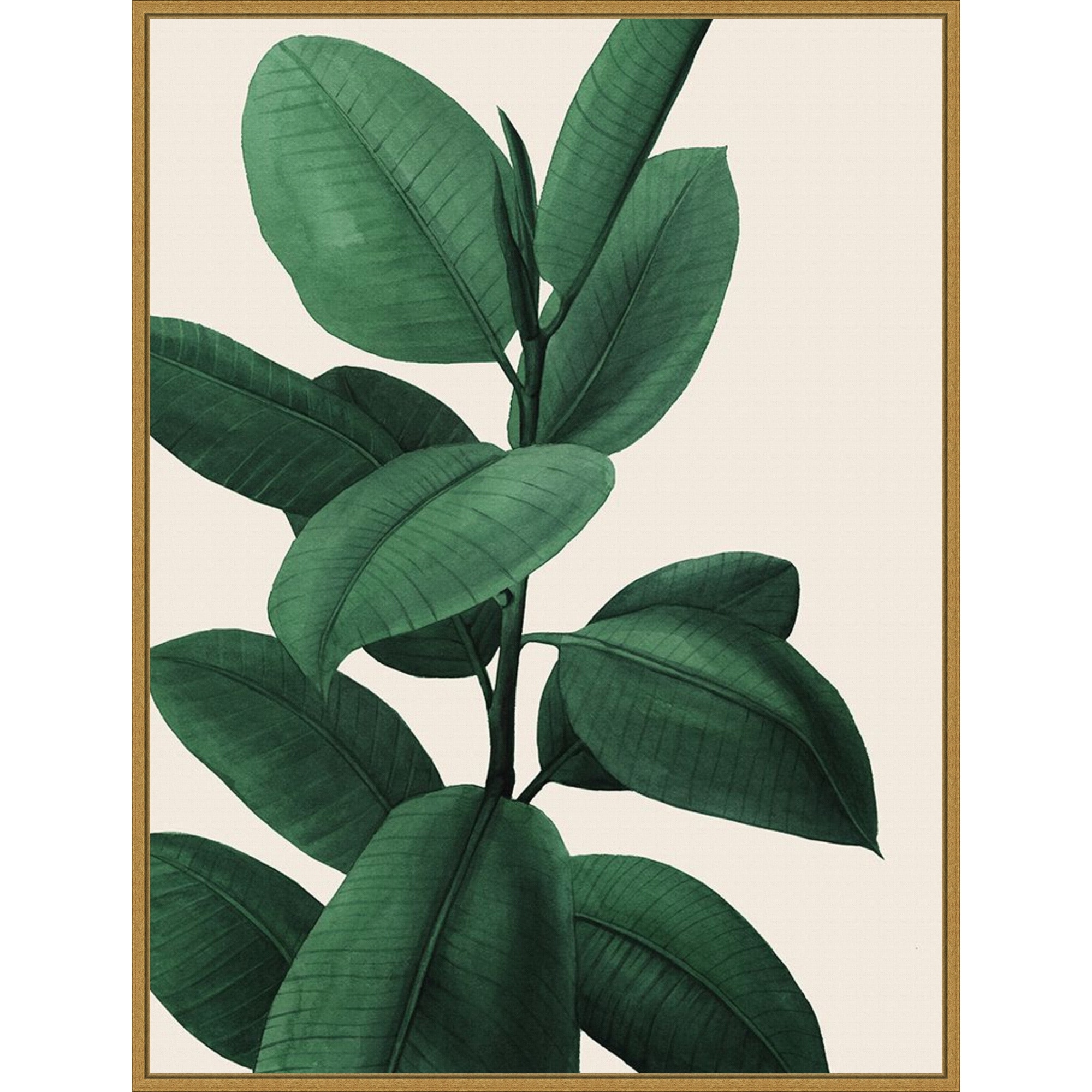 Jeweled Ficus I by Grace Popp Framed Canvas Wall Art Print - Sylvie Gold