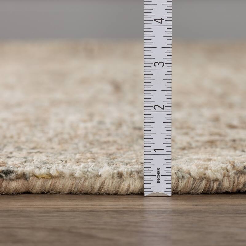 Addison Eastman Variegated Solid Wool Area Rug