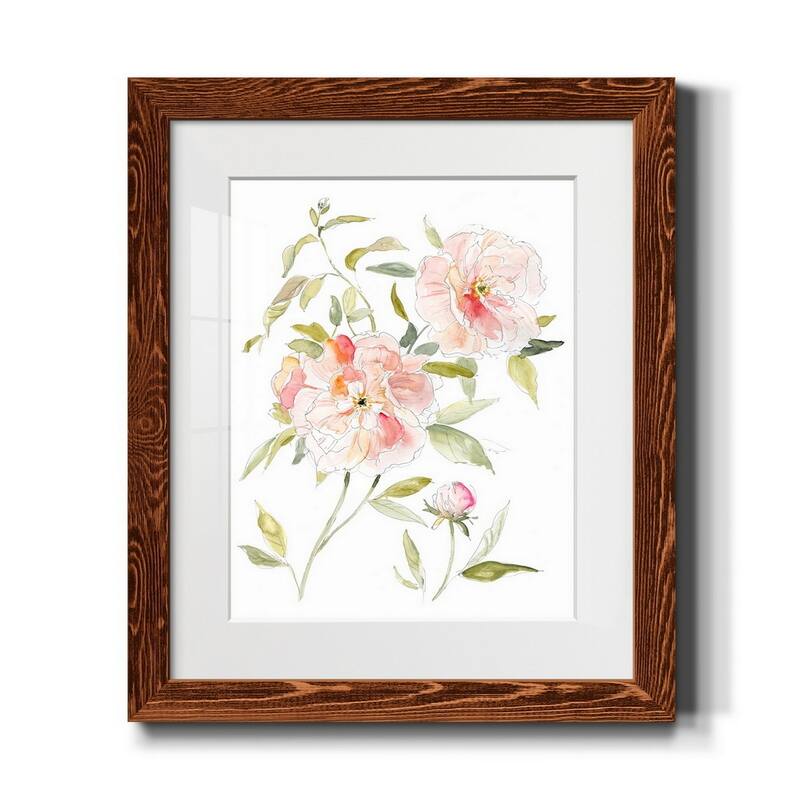Sketchbook Cottage Rose II-Premium Framed Print - Ready to Hang