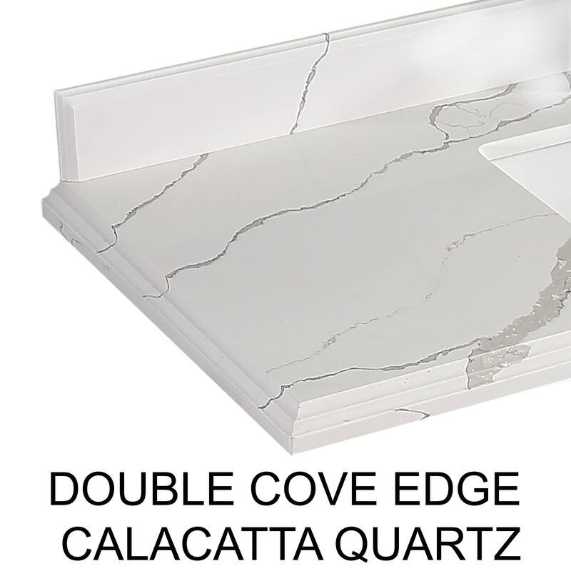 Willow Collections 60 in. W x 22 in. D Chicago Single Bowl Sink Bathroom Vanity with Countertop