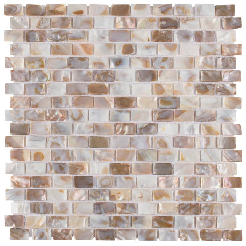 Merola Tile Conchella Subway Natural 12-1/4" x 12-1/2" Natural Shell Wall Tile