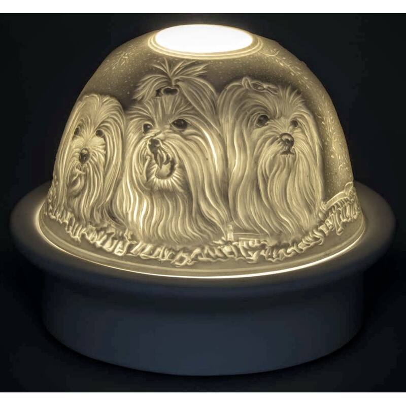 Maltese   Dome Light
