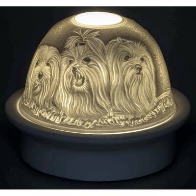Maltese   Dome Light