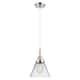 Option Clear Shade / Polished Nickel