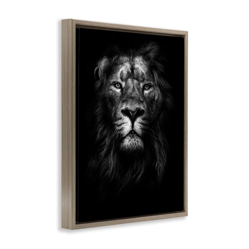 Stupell King of the Jungle Lion In Shadows Black and White Photography Floater Frame