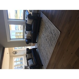 Safavieh Adirondack Dakota Distressed Vintage Boho Oriental Rug