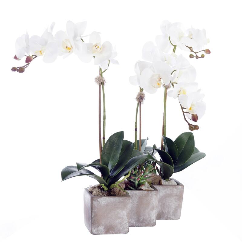 Three Sisters Real Touch White Orchid Arrangement