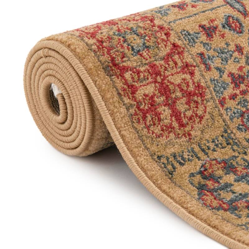 Traditional Cassia Collection Area Rug