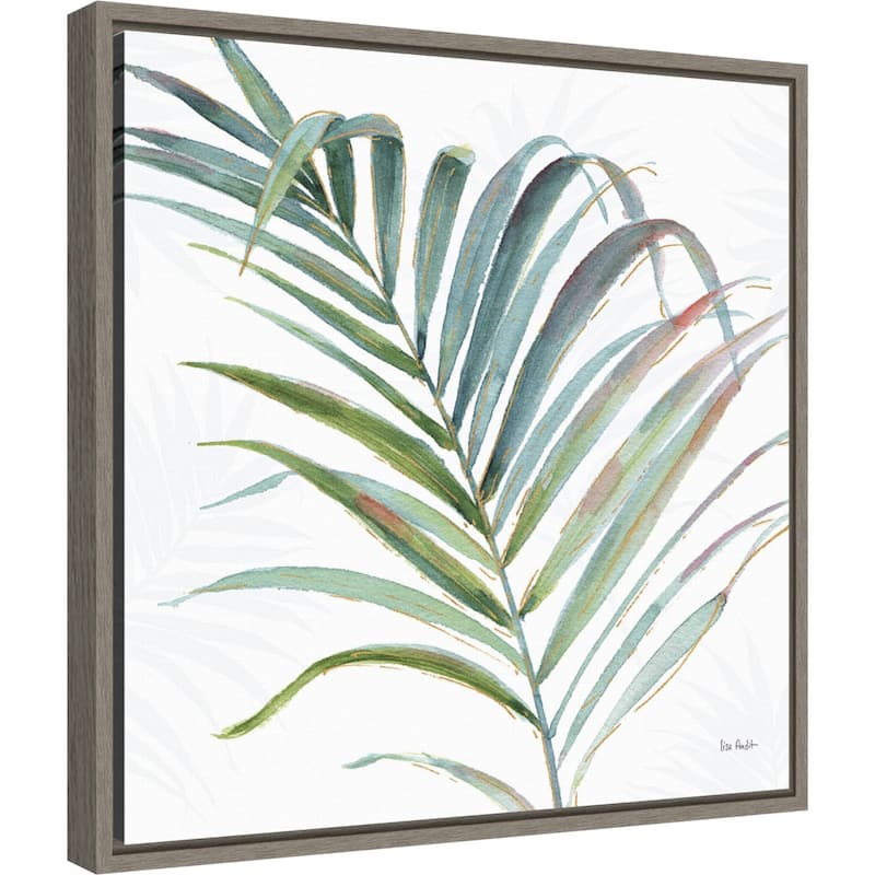 Tropical Blush V by Lisa Audit Framed Canvas Art