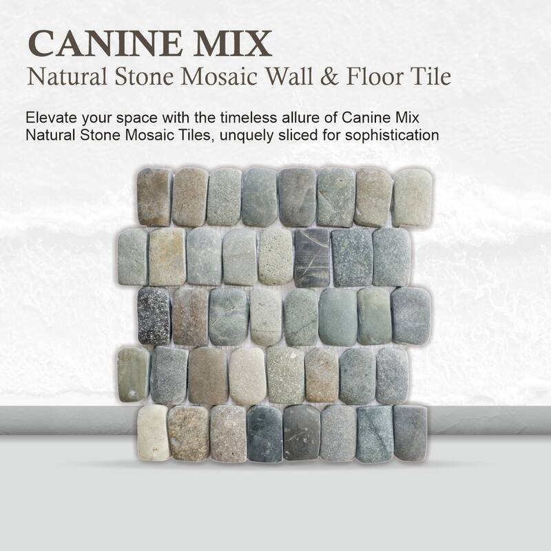Canine Mix Pebble Mosaic Tiles for Backsplash Kitchen and Bathroom Wall (12" X 12") 5 tiles per case - Case (5 Tiles)