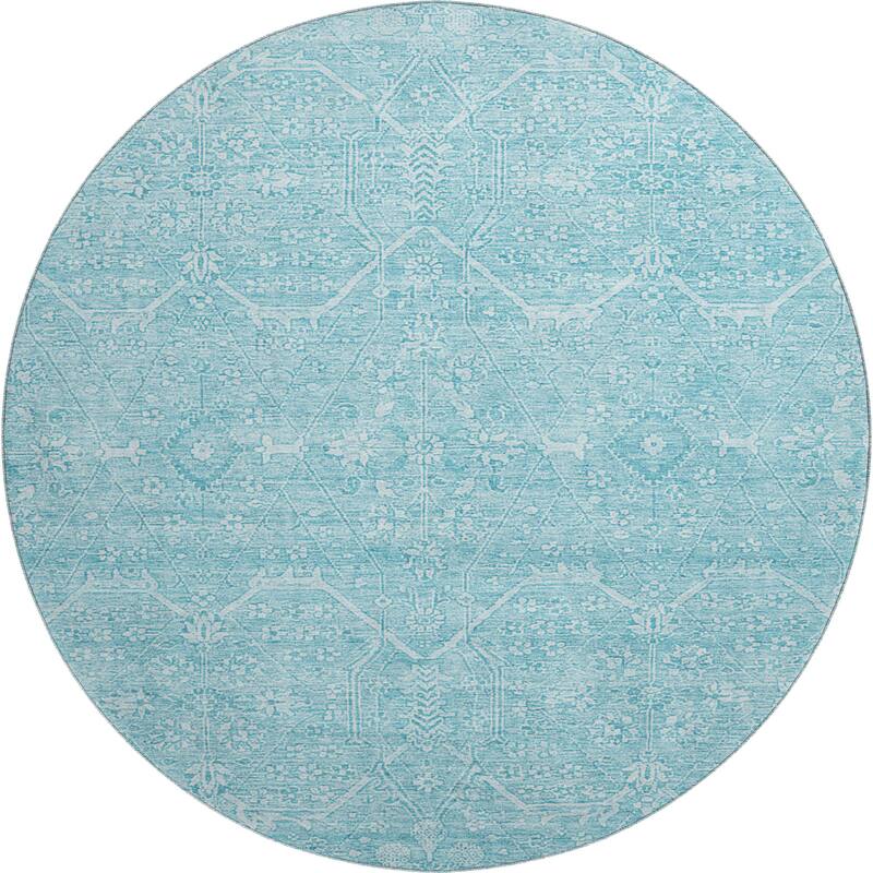 Premium Washable Super Soft Traditional Global Mayfield Rug