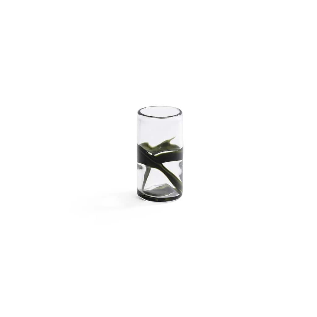 Botánico Glass Vase