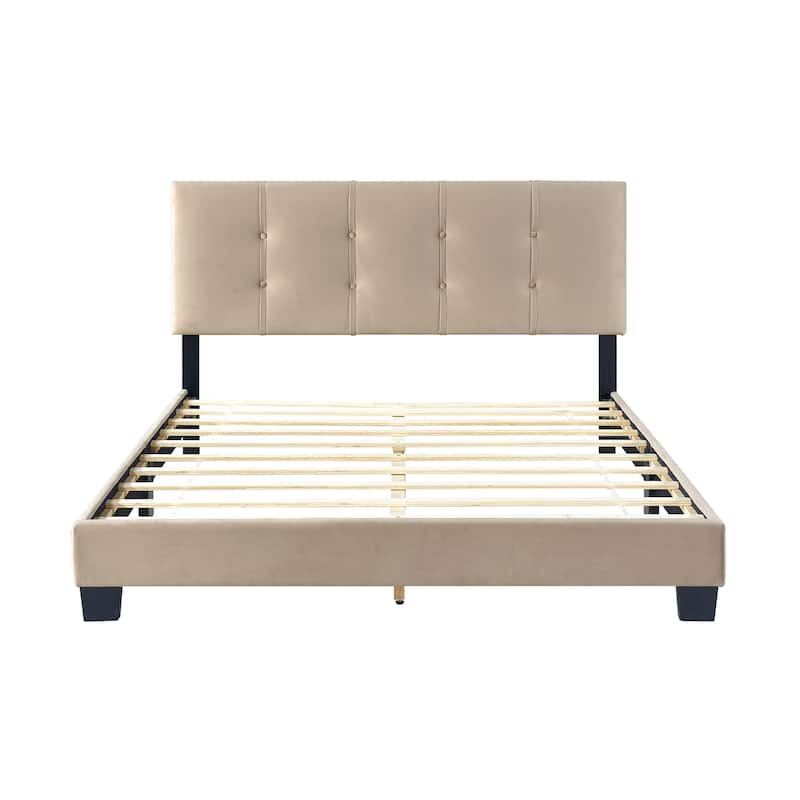 Fort Velvet Upholstered Platform Bed, Queen