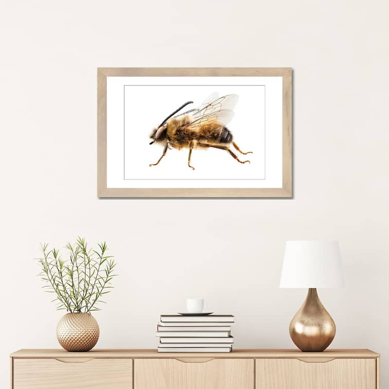 iCanvas "Bee Species Eucera Longicornis Common Name Solitary Miner Bee" by Paul Rommer