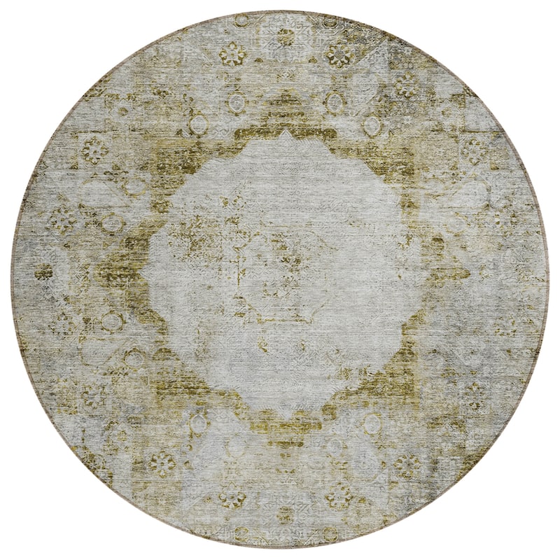 Machine Washable Indoor/ Outdoor Chantille Vintage Traditional Rug