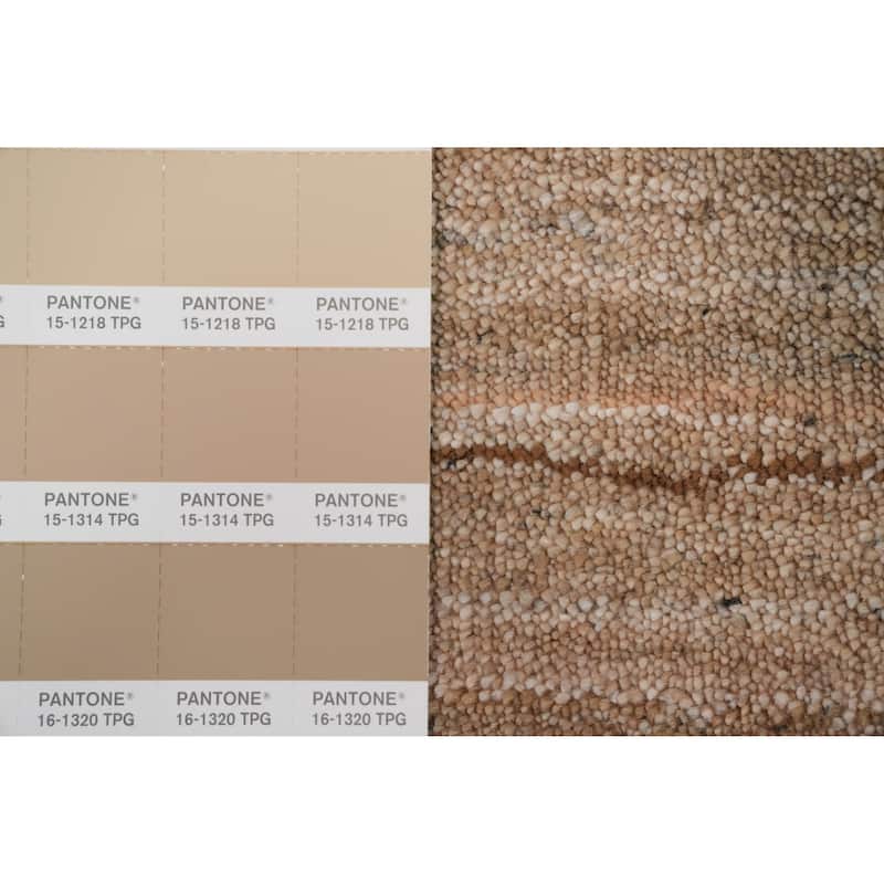 Hand Knotted Oriental 100% Wool Carpet Tribal Animal Pictorial Brown Gabbeh Area Rug - 8' 10'' X 5' 10''