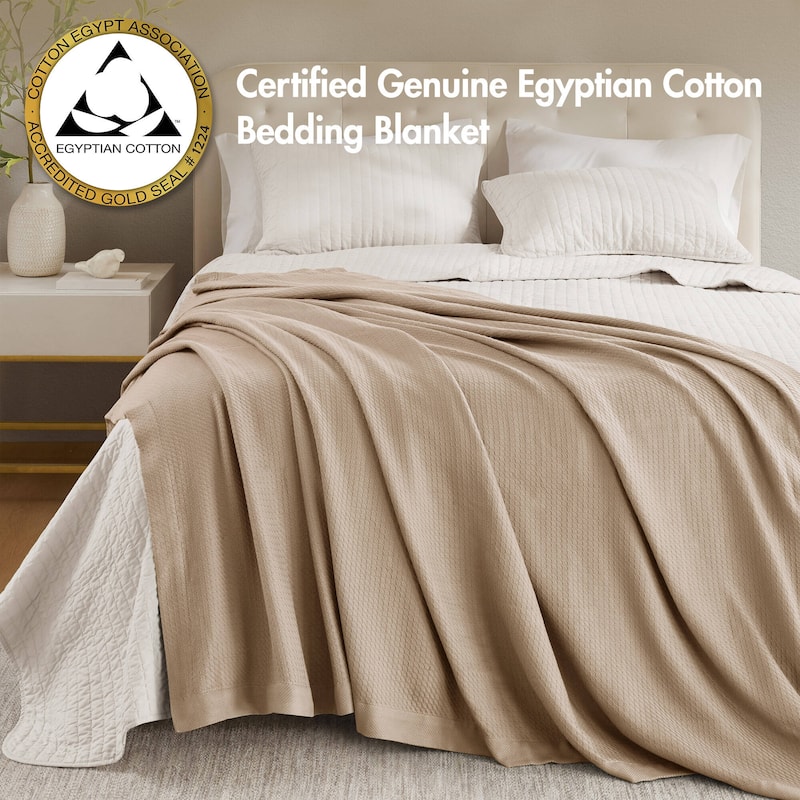 Madison Park Egyptian Cotton Solid Blanket