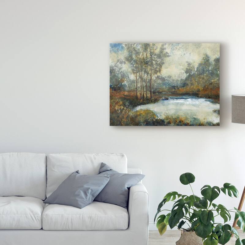 Tim Otoole 'Ethereal Light I' Canvas Art