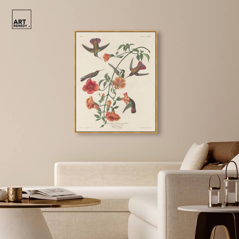 Humming Bird 1834 Canvas by Art Remedy