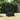 vidaXL Single Sofa with Cushions Poly Rattan Black