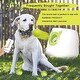 preview thumbnail 5 of 4, Dog Tennis Balls 20 Pack Pet Tennis Ball for Small Dogs Premium Fetch Toy Non-Toxic Non-Abrasive Material - 2"