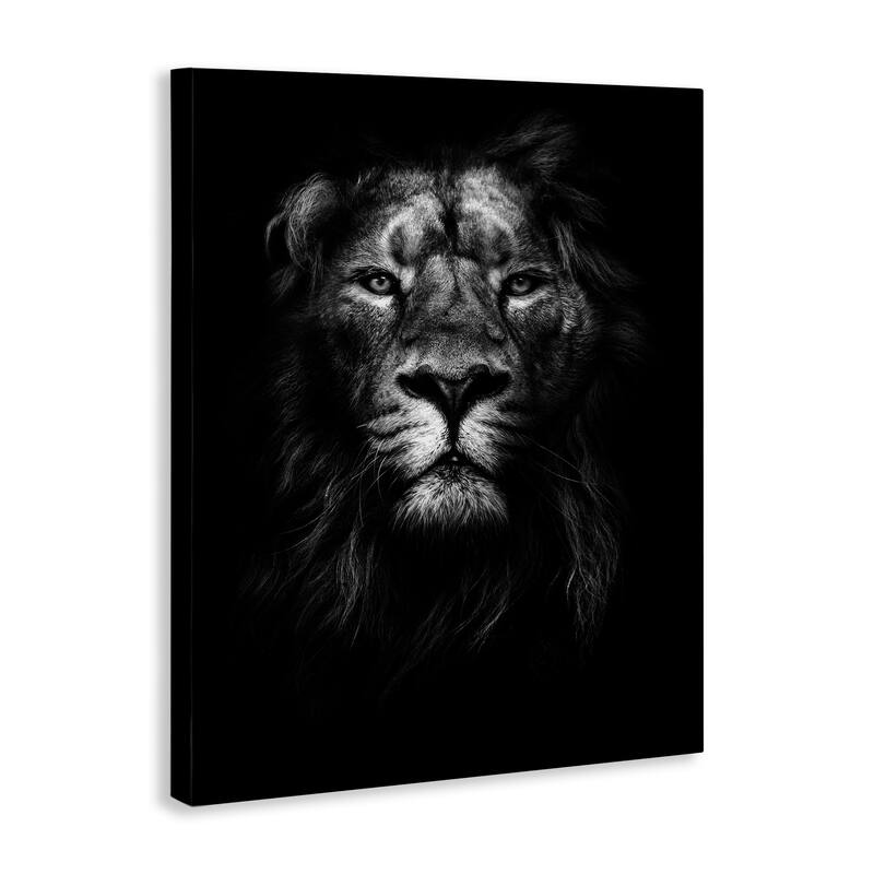 Stupell King of the Jungle Lion In Shadows, 16 x 20, Proudly Made in USA - Multi-Color