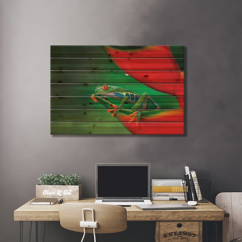 Red-Eyed Treefrog, Costa Rica Print On Wood by Adam Jones - Multi-Color