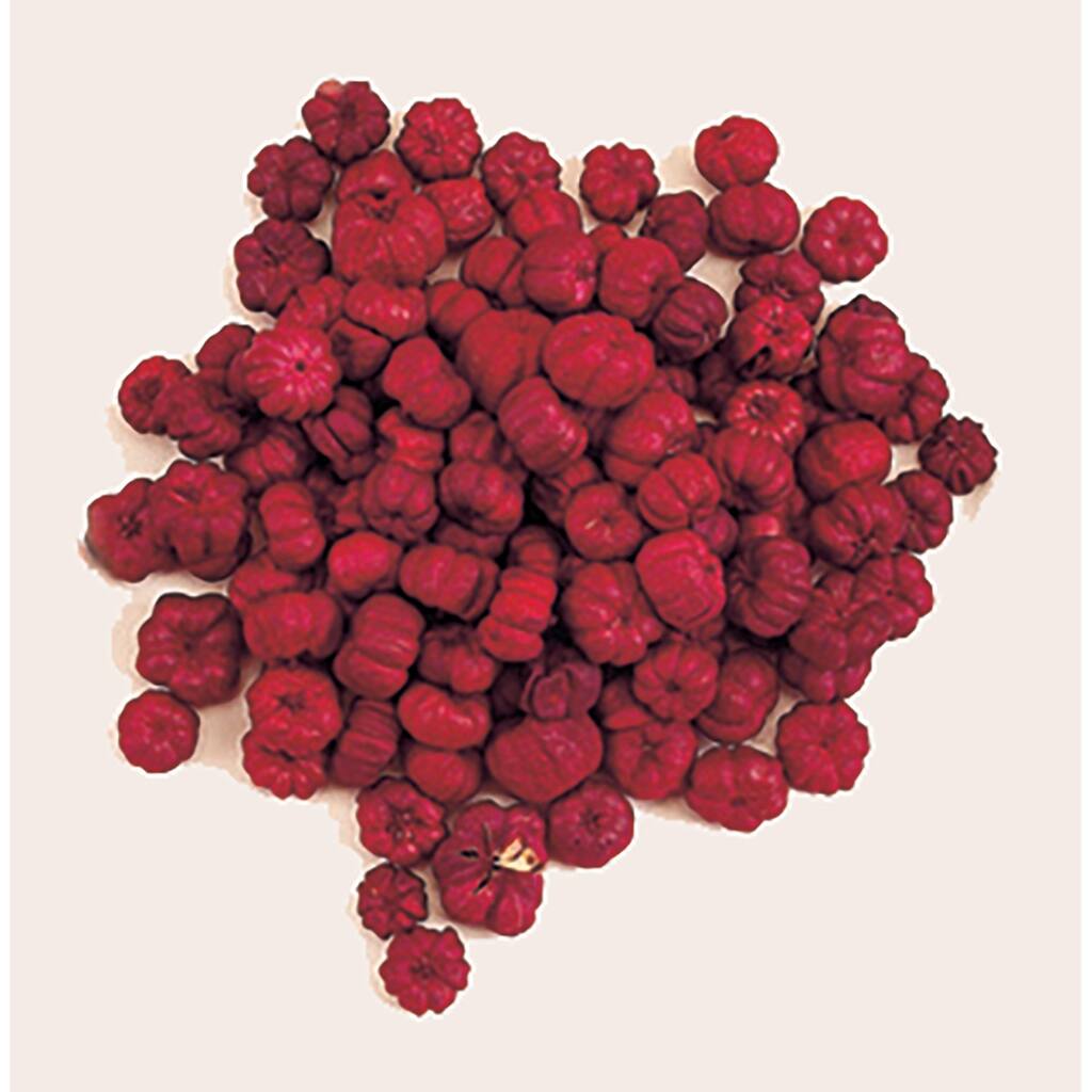 Putka Pod, Red - 10