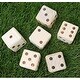preview thumbnail 1 of 2, Giant Dice Set Outdoor Indoor Wooden w/ Scorecards & Case - Nature Nature