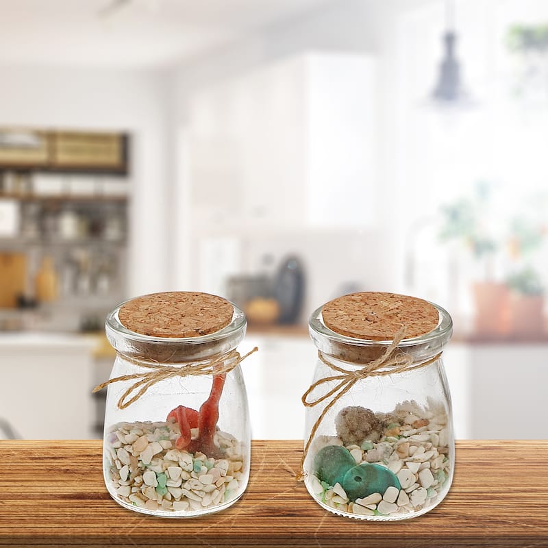 IH Casa Decor Bottled Glass Rocks And Seashells Decor Asstd - Set of 2