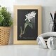 preview thumbnail 57 of 118, Orchid on Slate III -Framed Print w/glass-Cherry Red