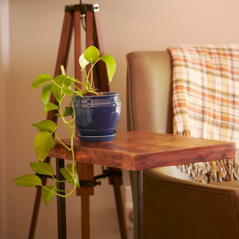 Southern Patio Collins Ceramic 6.1-inch Planter