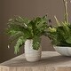 preview thumbnail 2 of 3, Uttermost 60229 Verdure Fern 16-1/4" Tall Ceramic Faux Flora Planter - Tan