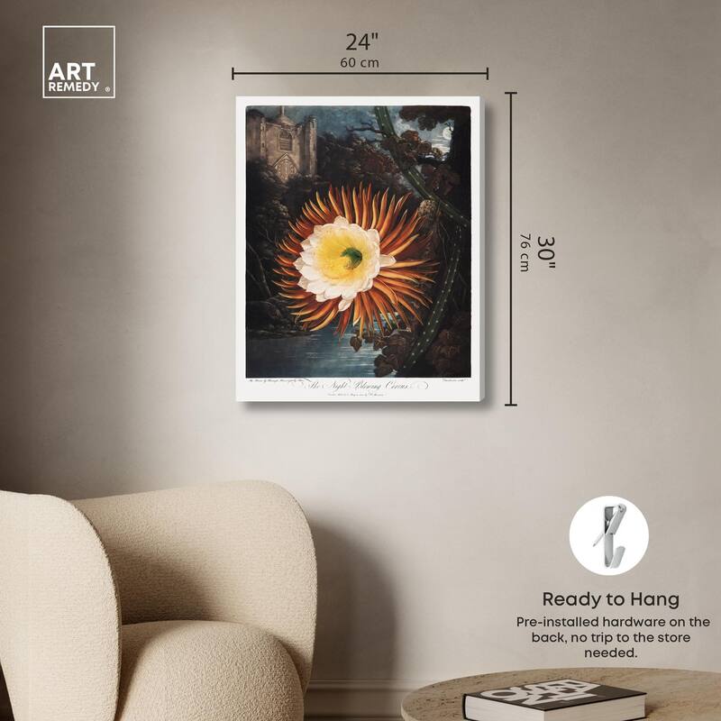 Night-Blowing Cereus 1807 Canvas by Art Remedy, Gallery Wrapped
