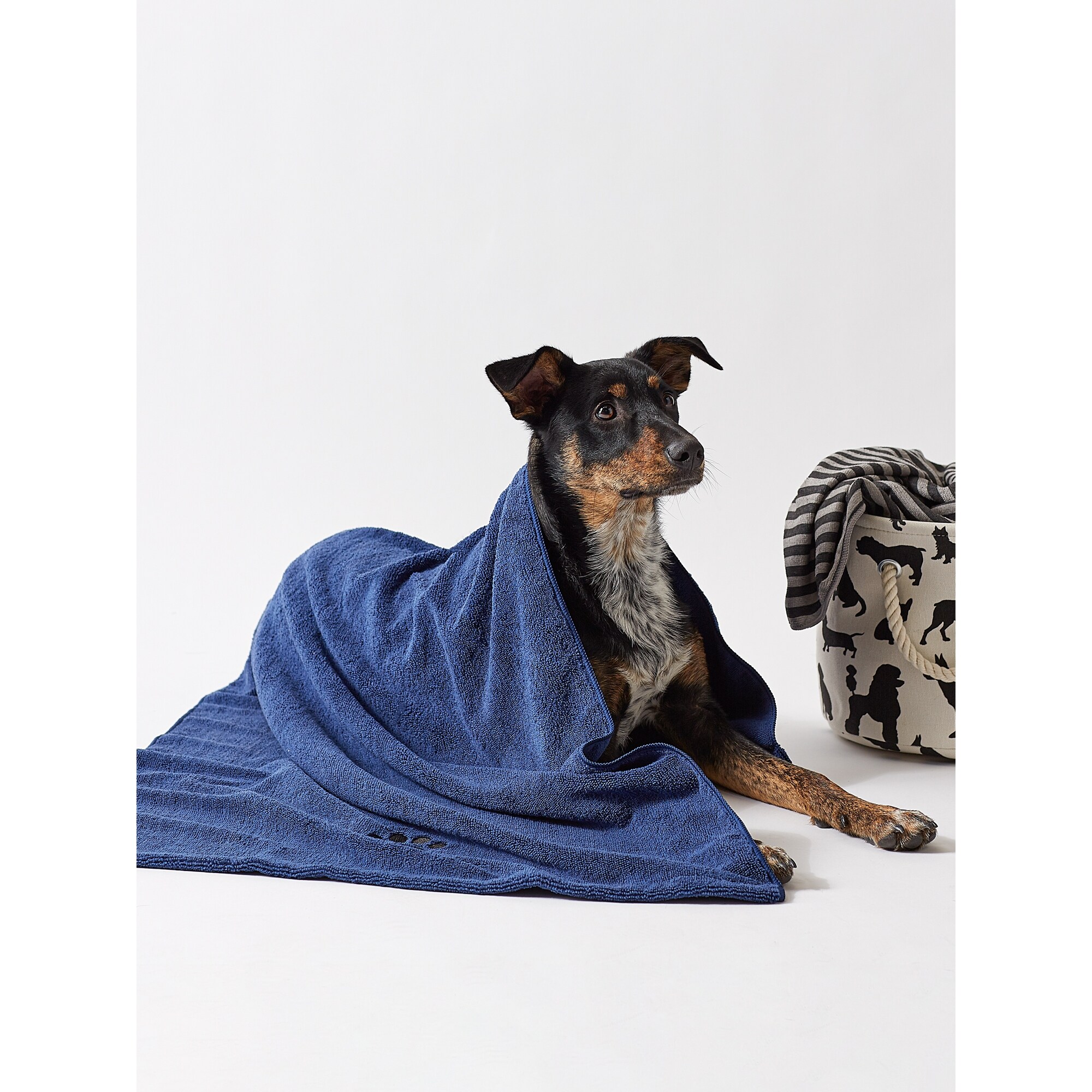 Bone dry dog blanket online