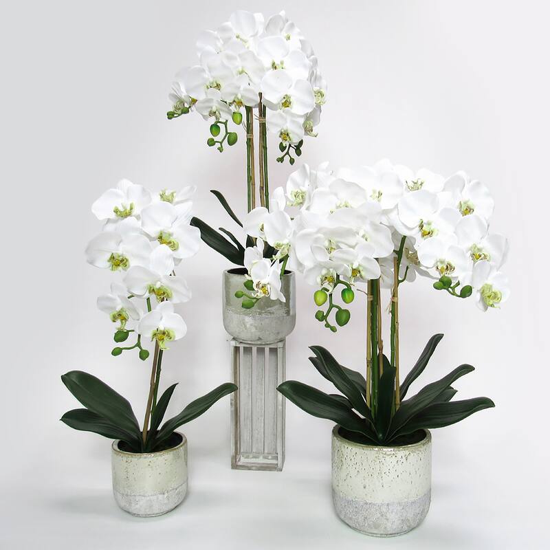 White Artificial Phalaenopsis Orchid Flower Arrangement in Half Glazed Ceramic Pot 22in - 22" H x 9" W x 6.5" DP