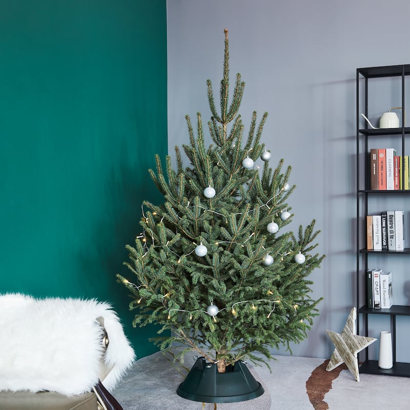 Green Live Christmas Tree Stand - For Trees