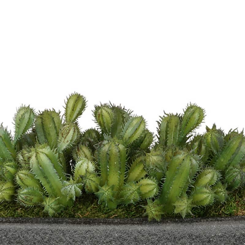 Faux Thimble Cactus Garden in Black Sandy-Texture Ceramic Vase