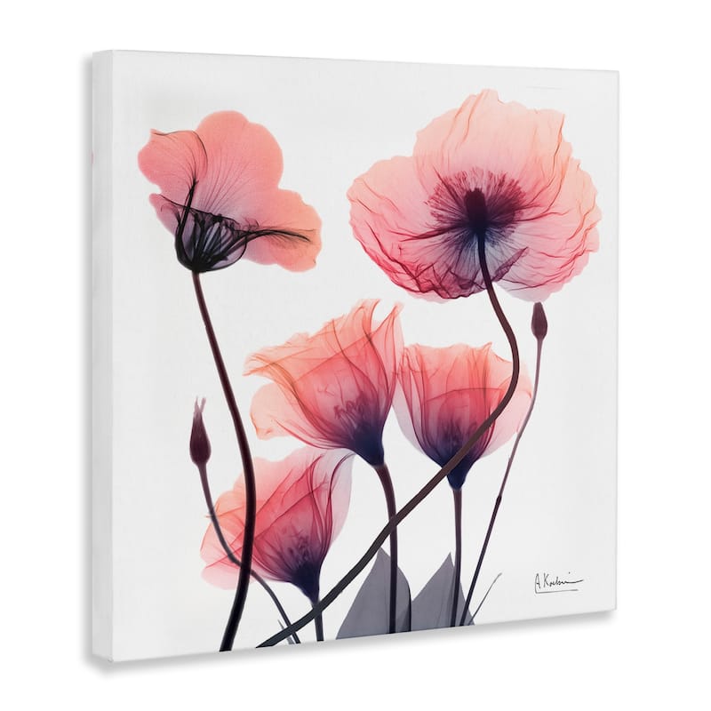 Stupell Elegant Modern Poppy Buds Canvas Wall Art Design By Albert Koetsier