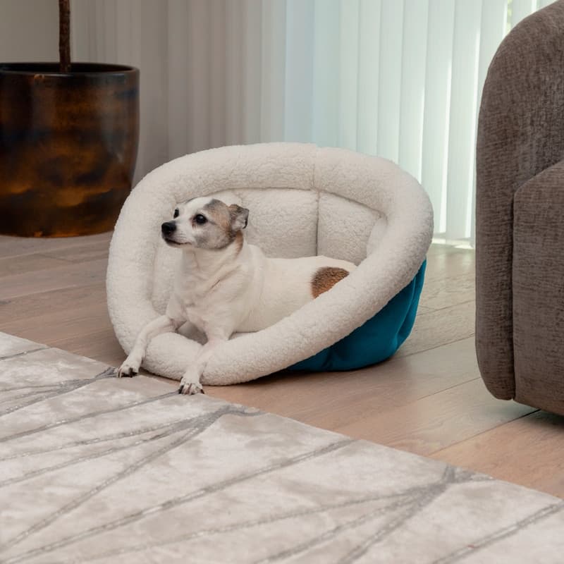 Sherry Kline Pets Small Cuddler Cup Pet Bed