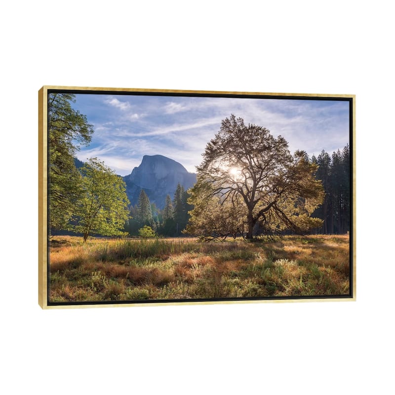iCanvas "Cook's Meadow" by Adam Burton Framed Canvas Print - Gold - 26x40