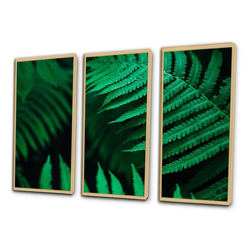 Designart "Dark Green Fern Leaf On Black III" Tropical Framed Wall Decor Set of 3 - 4 Colors of Frames