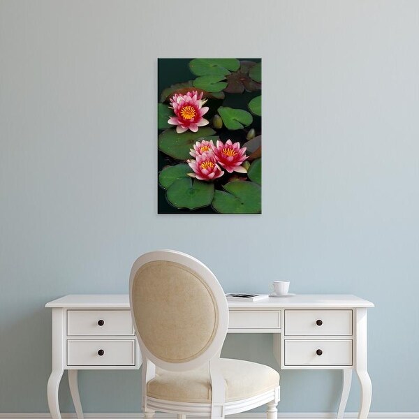 Easy Art Prints Adam Jones's 'Hybrid Water Lilies' Premium Canvas Art