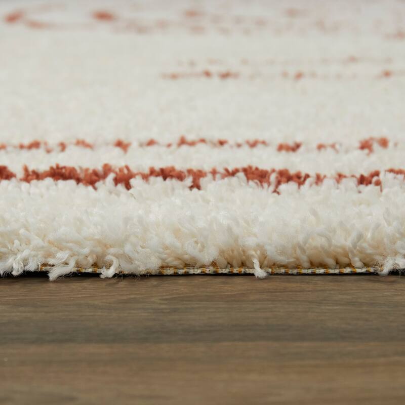 Janus Contemporary Berber Shag Area Rug