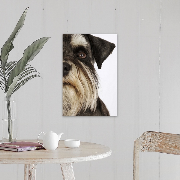 Miniature schnauzer sales wall art