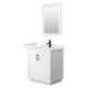 Option White, Black Trim, White Quartz Top