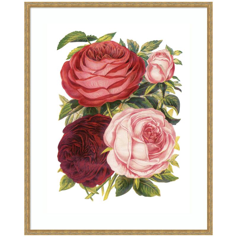 Kate and Laurel Framed Art Victorian Flowers by The Creative Bunch Studio - 34x42 - Gold