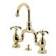 Option Polished Brass