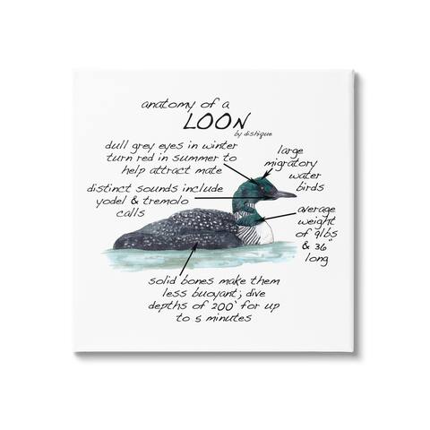 Stupell Industries Loon Water Bird Anatomy Chart Educational Wildlife Facts Canvas Wall Art, Design by Dishique